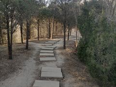 -南翠屏公园