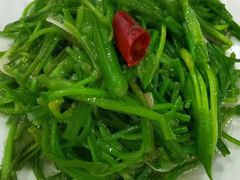 -泸沽肴(泸沽湖大洛水村农村信用社旁店)