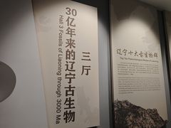-辽宁古生物博物馆