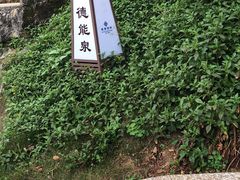 -乳源丽宫国际温泉酒店