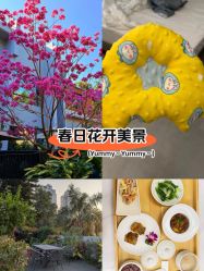 -宝生月子中心(独栋园林·福田店)