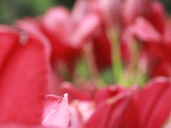 -长春公园(普阳街道)