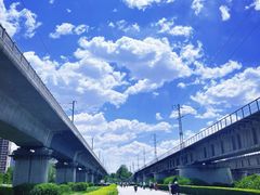 -长白岛森林公园