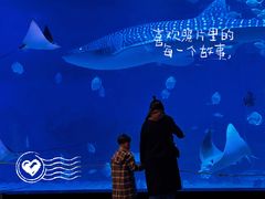 -烟台海昌鲸鲨海洋公园