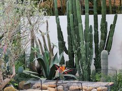 -自由生长植物工作室(深港花卉中心店)