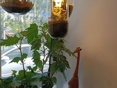 -懒人盐府人家·自贡大麻鱼(安贞店)