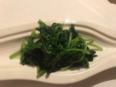 清炒时蔬-西郊5号·Maggie 5