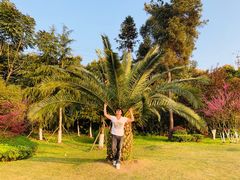 -铁山坪森林公园