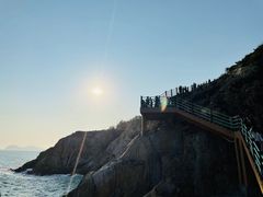 -广东惠东海龟国家级自然保护区