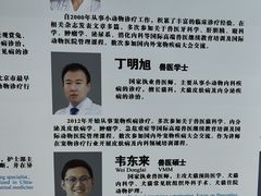 -北京观赏动物医院·24小时大型综合·猫专科·异宠专科