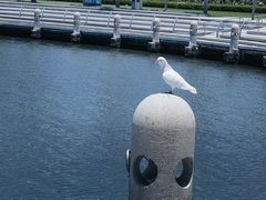 -白鹭洲公园