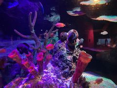 -沈阳海洋探索中心