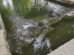 -春风习习
