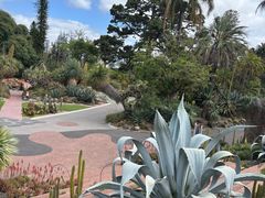 -墨尔本皇家植物园