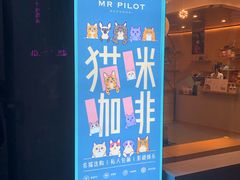 门面-飞行喵MR PILOT|猫舍·猫咖(静安大融城店)