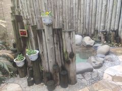 -张家港金凤凰度假村温泉