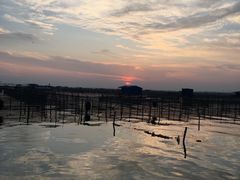 -阳澄湖半岛旅游度假区