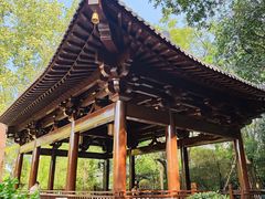 -鸡鸣山旅游景区