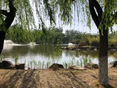 -山东大学(兴隆山校区)