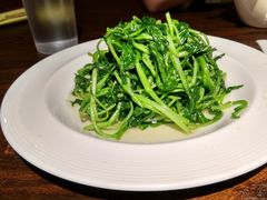 -金枝玉叶上海人家食府(三里河店)