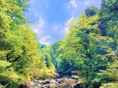 -龙苍沟森林公园