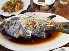 -小厨子私房菜·云南美食店