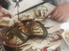 -半岛听涛蒸汽海鲜自助(K11店)