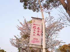 -顾村公园
