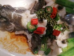 -老伙记海鲜码头(北滘店)