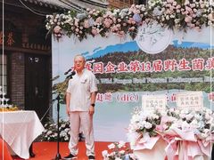 -蔼若春.传承三十年云南菜(金碧公园店)