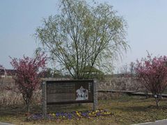 -梁鸿国家湿地公园