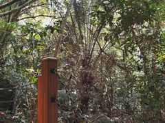 -七仙岭温泉国家森林公园