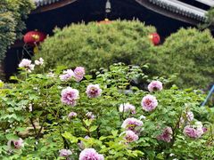 -龙华寺