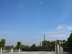 -王借岗森林公园