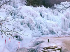 -黑龙潭风景区