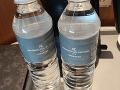 -无锡丽笙精选酒店