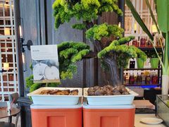 -松咖啡自助餐厅·松北香格里拉