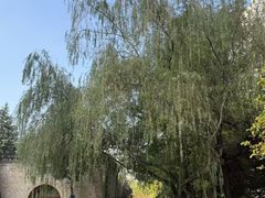 -木塔寺遗址生态公园