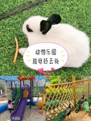 -萌宠亲子动物乐园(槐房万达店)