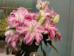 -南堂馆·新川菜(春熙路店)