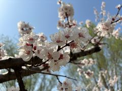 -汉长安城未央宫国家考古遗址公园