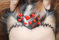 -大麦微针植发全国连锁