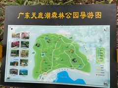 -天鹿湖森林公园