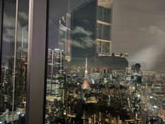 -六本木新城展望台(东京城市景观)