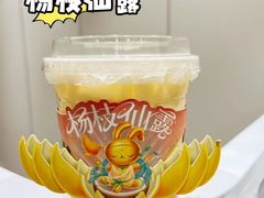 -书亦烧仙草(二七万达广场店)