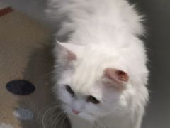 -小时光咖啡馆(开森度假森林店)