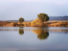 -塞罕坝国家级自然保护区