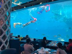 -瑞德姆美人鱼海底演艺主题餐厅(亚龙湾店)
