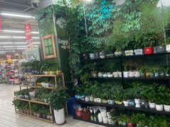 -大润发(康桥店)