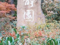 -静园(和平区)